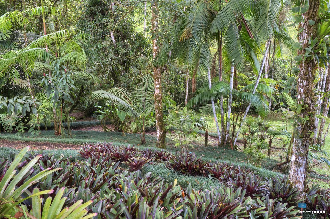 Estacion Biologica Las Cruces Y Jardin Botanico Wilson San Vito エクステリア 写真