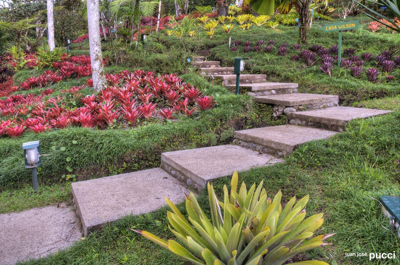 Estacion Biologica Las Cruces Y Jardin Botanico Wilson San Vito エクステリア 写真