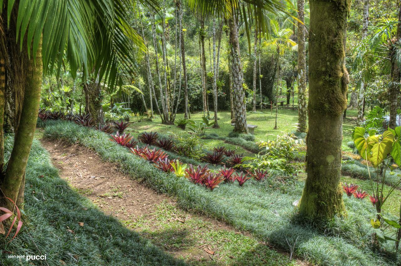 Estacion Biologica Las Cruces Y Jardin Botanico Wilson San Vito エクステリア 写真