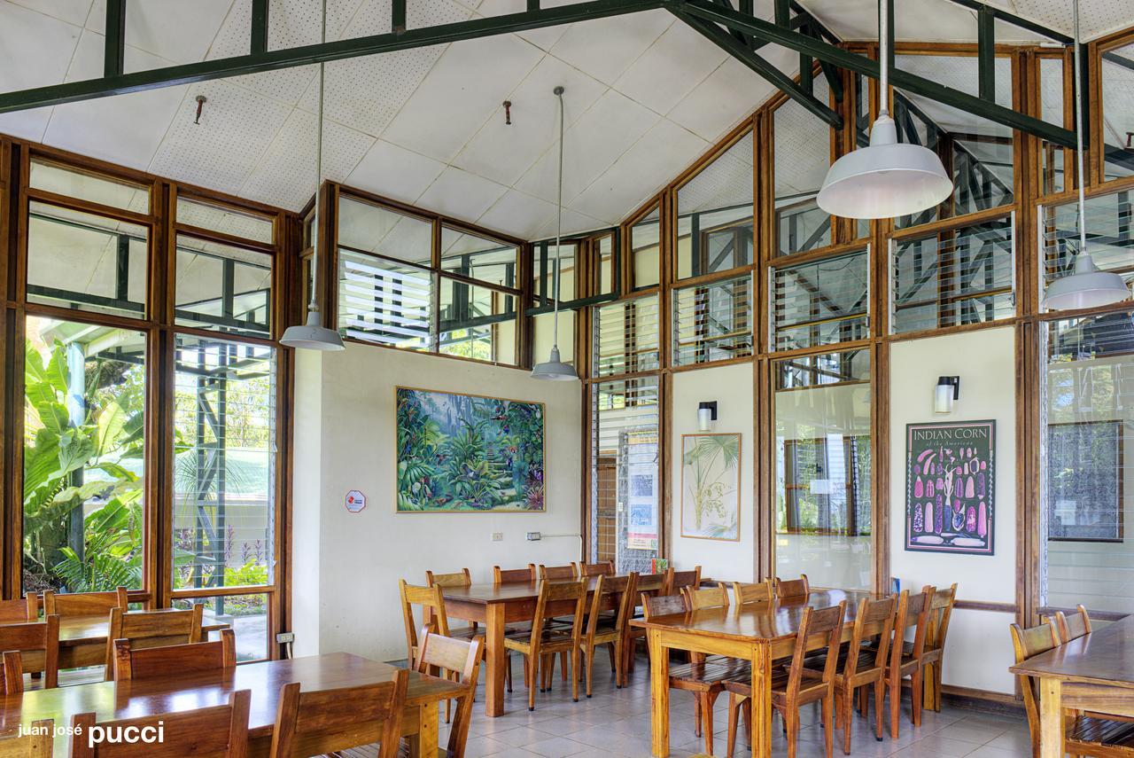 Estacion Biologica Las Cruces Y Jardin Botanico Wilson San Vito エクステリア 写真