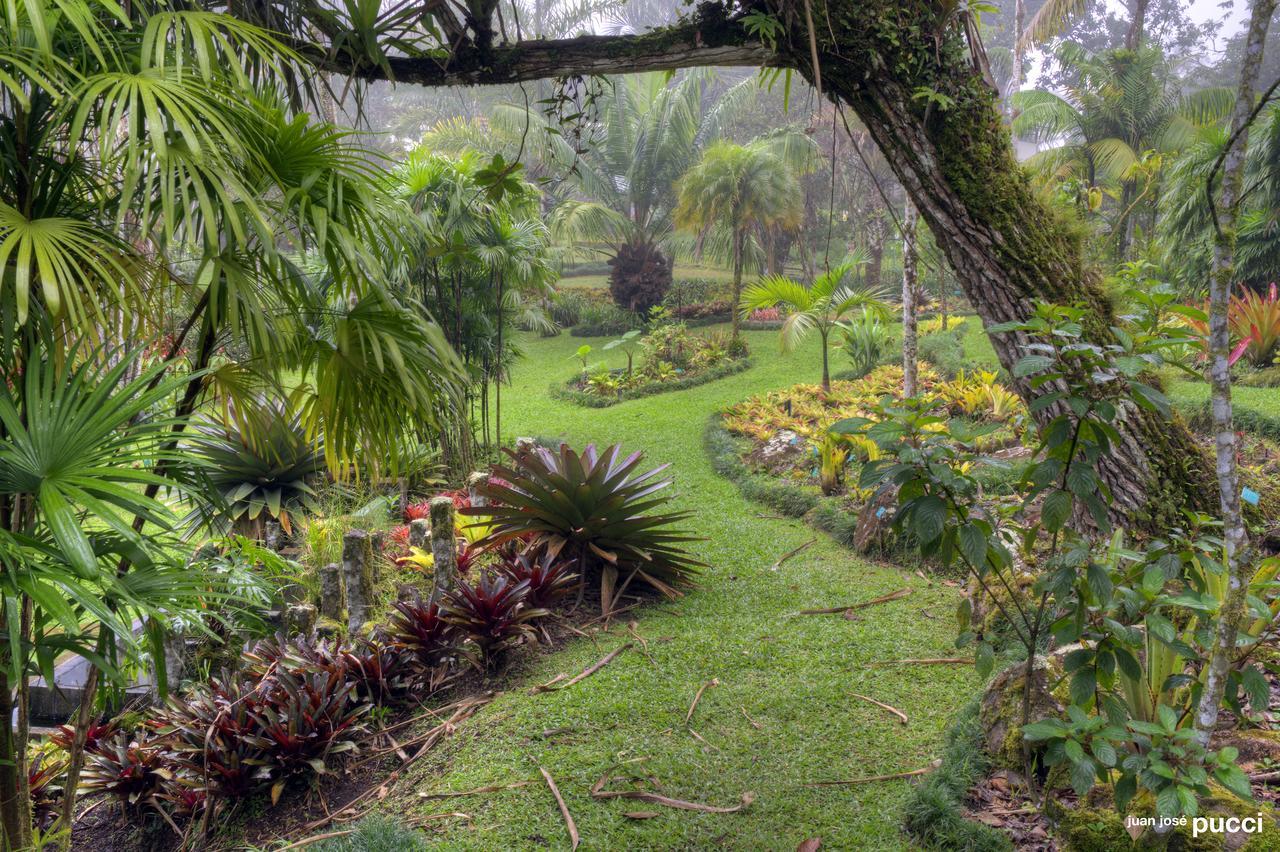 Estacion Biologica Las Cruces Y Jardin Botanico Wilson San Vito エクステリア 写真