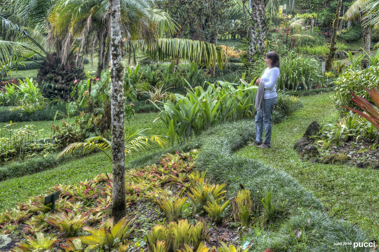 Estacion Biologica Las Cruces Y Jardin Botanico Wilson San Vito エクステリア 写真