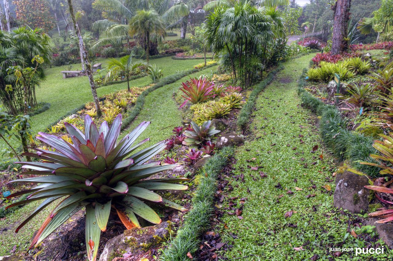 Estacion Biologica Las Cruces Y Jardin Botanico Wilson San Vito エクステリア 写真